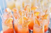 28 burnt orange cocktails with slices