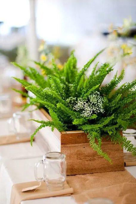 a rustic wooden box centerpiece with fern and some baby's breath is a cool idea for a rustic wedding