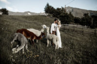 02 First, the couple went to an alpaca farm – these animals are amazing, and interacting with them is cool