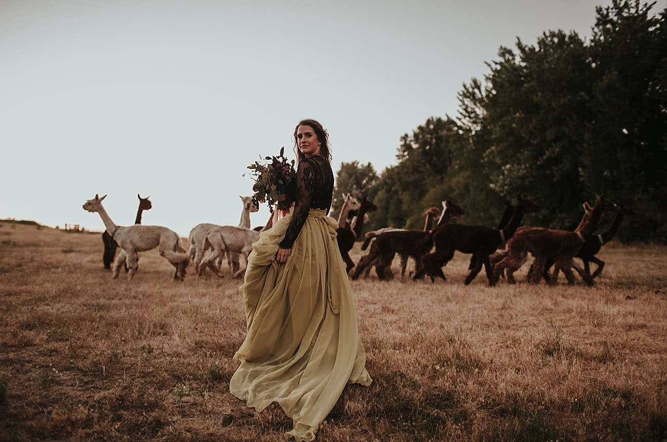 Get inspired for creating your own bridal or wedding shoot on an alpaca farm
