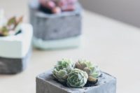 12 geometric concrete planters with succulents will be a great fit for a modern tablescape
