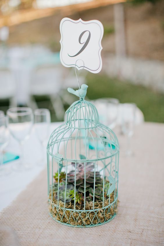 a blue cage with moss, succulents and a table number on top for trendy decor