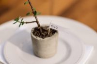 29 a small potted succulent in a concrete planter with a name for a favor and place card