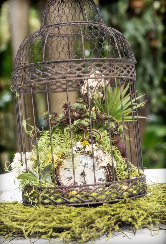 a vintage cage with moss, succulents and a vintage pocket watch inside for a steampunk wedding
