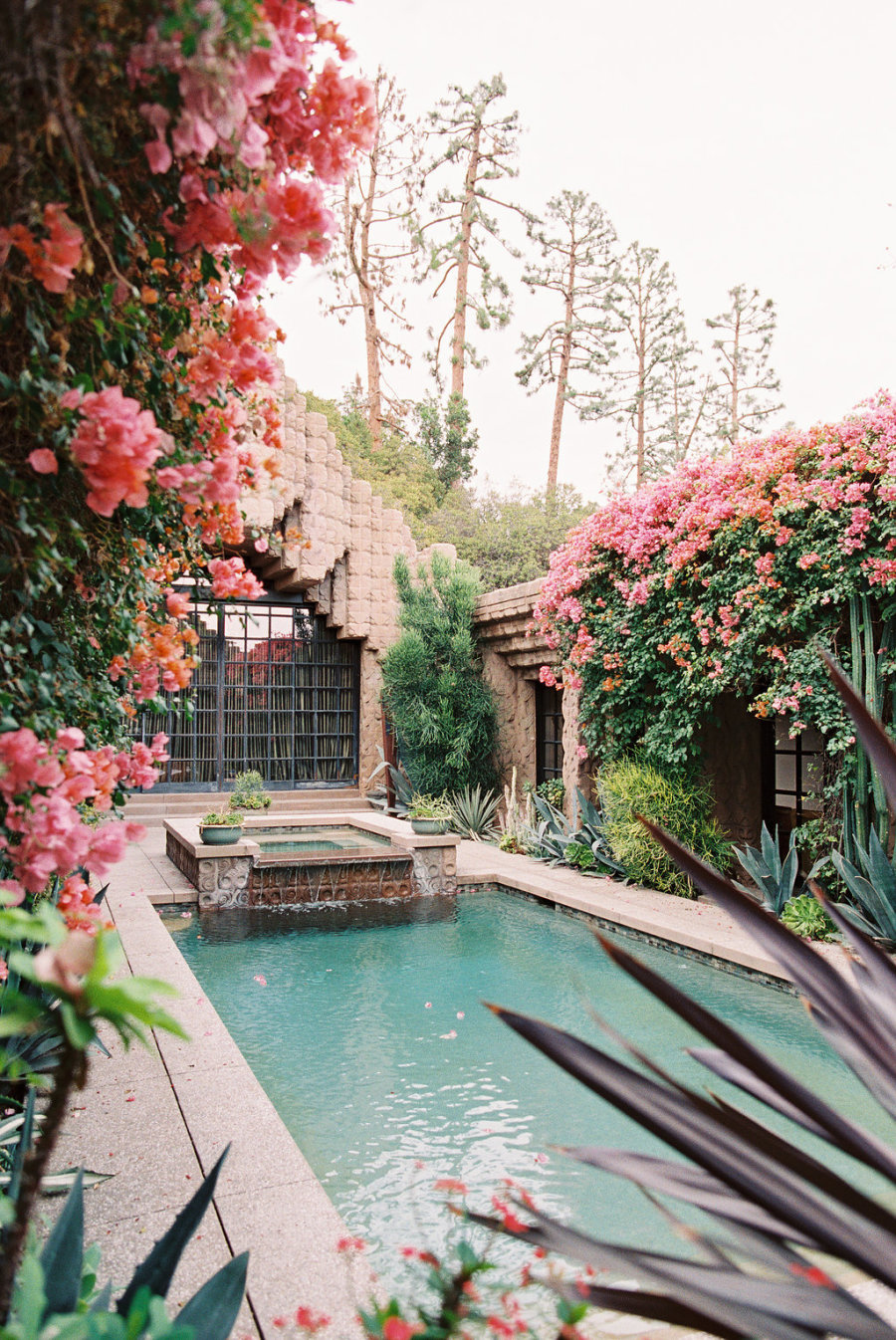 Look at this gorgeous courtyard with a pool   isn't it amazing