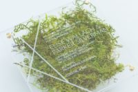 08 a modern acrylic wedding invite with moss inside and gold nails for a modern organic wedding