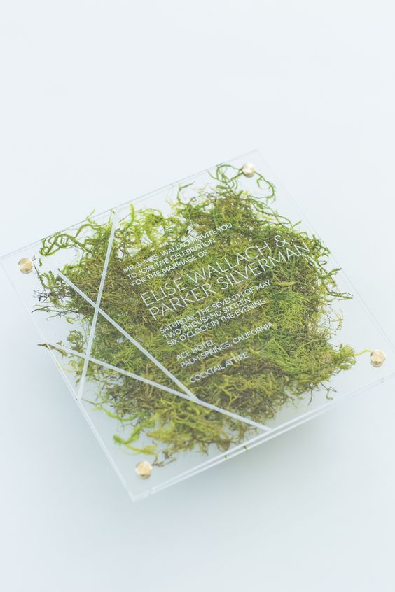 a modern acrylic wedding invite with moss inside and gold nails for a modern organic wedding