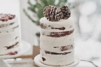 10 a tall semi naked wedding cake topped with pinecones looks like a real winter one