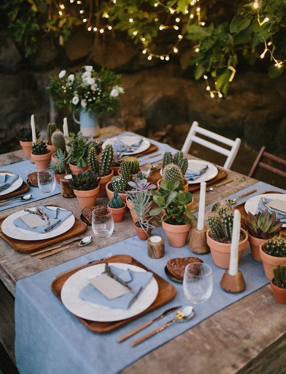 lots of cacti and succulents planted in pots for a cool boho or desert wedding