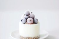 15 mini frozen yogurt cake with frozen berries on top reminds of the frosty winter days