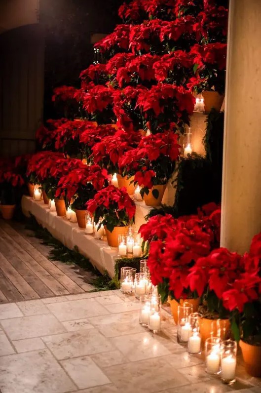bold Christmas wedding decor with red poinsettias in planters and pillar candles plus evergreens are a lovely idea