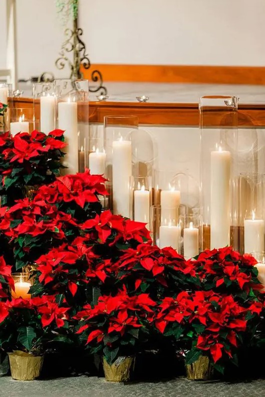 holiday wedding decor with bold red poinsettias in gold planters and tall pillar candles in glasses is Christmas classics