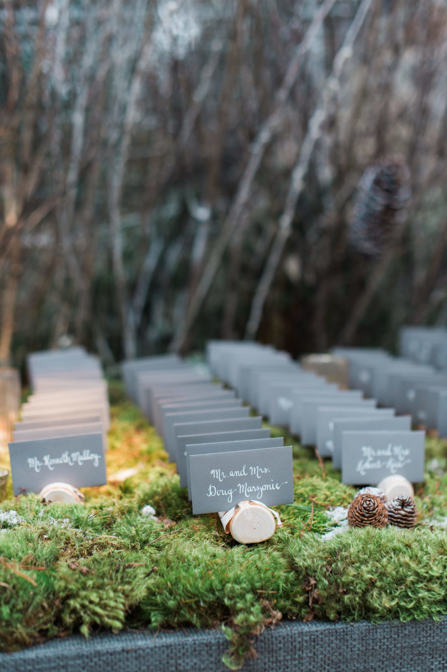 The cards were placed on birch slices, moss and pinecones