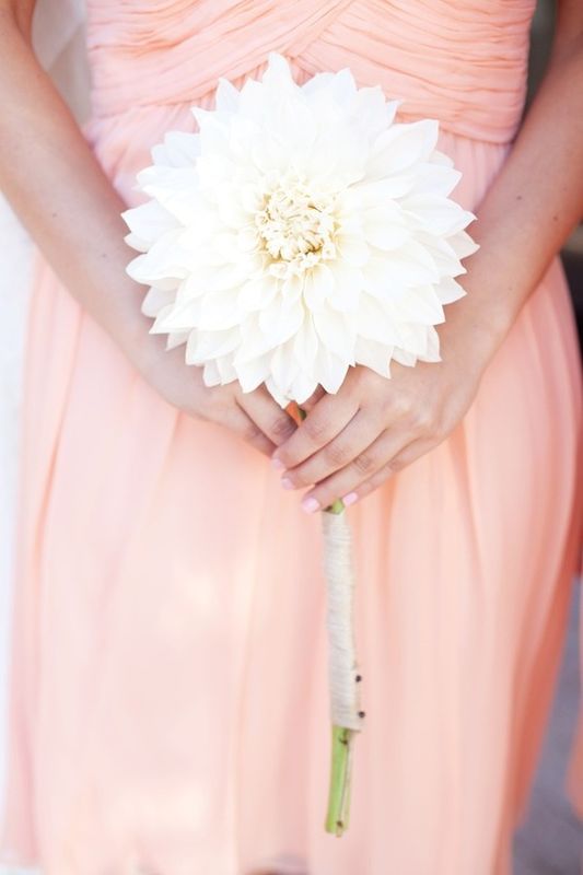 a single large white dahlia flower is a perfect idea for a bridesmaid