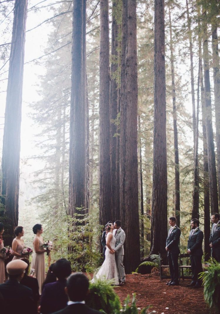 Camp-Style Wedding In The Redwoods