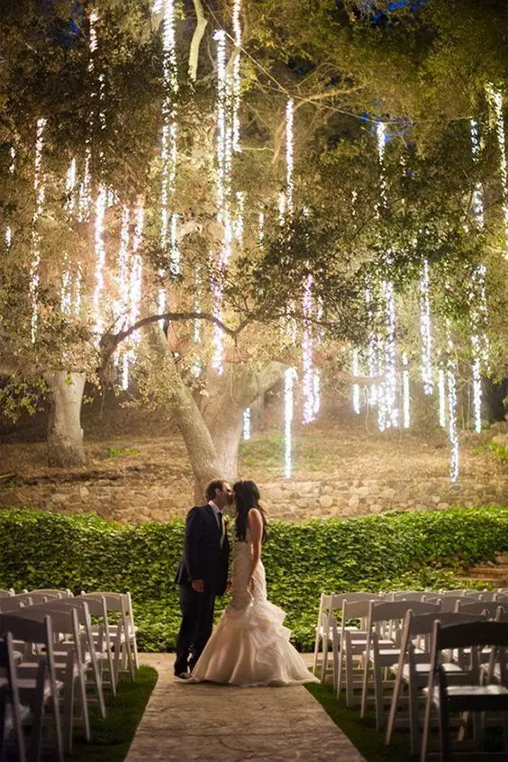 vertical light clusters hanging on a large tree create a magical ceremony ambience