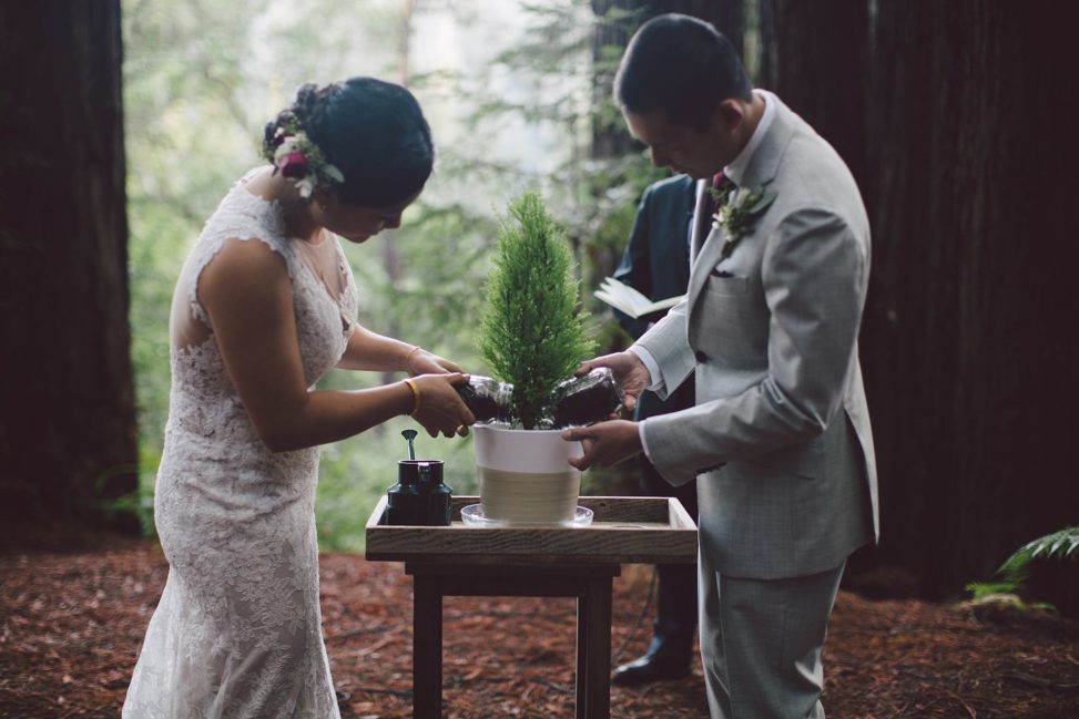 The couple opted for planting a sequoia during the wedding ceremony