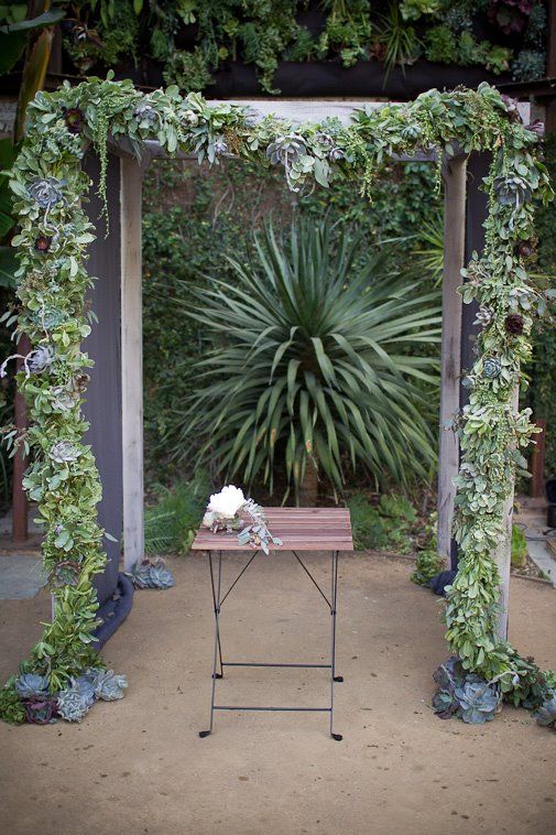 a wedding arch covered with various types of succulents is a creative idea