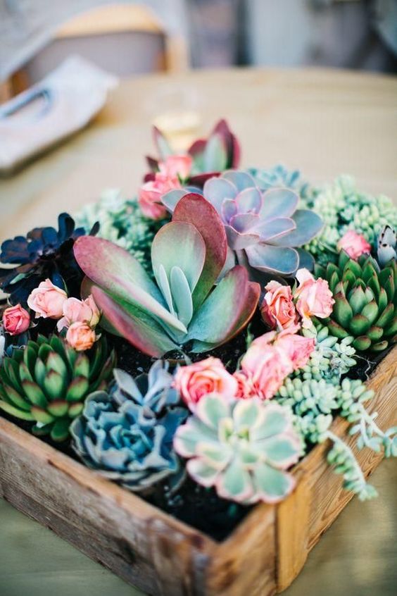 a wedding centerpiece of a wooden box with various types of succulents and pink blooms