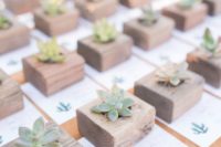 21 succulent wedding favors and escort cards – little wooden pots make the favors cooler