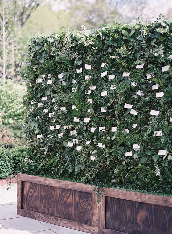 a lush living greenery wall with escort cards on display is a great and very creative idea