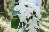24 a lush cascading wedding bouquet with large monstera leaves and white orchids for an elegant feel