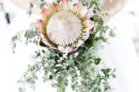 03 a large king protea and some greenery around it with a cascade for a stylish modern look