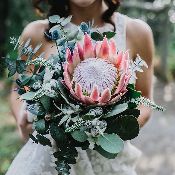 a gorgeous bouquet with a king protea, eucalyptus, blue thistles and some pale herbs for a tropical bride