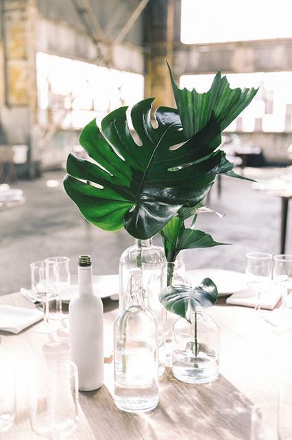 a minimalist tropical wedding centerpiece with clear glass bottles and tropical leaves