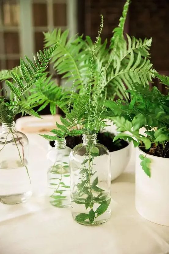 a cluster wedding centerpiece of fern in bottles and vases and potted greenery is a great idea for a modern wedding