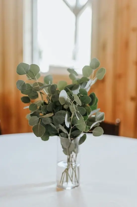 a very minimal eucalyptus wedding centeriece in a clear vase will be a nice fit for a modern or minimalist wedding
