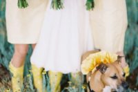 22 yellow rain boots and matching yellow and white bouquets for the bridal party