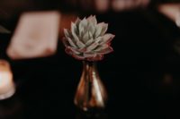10 The wedding centerpieces were done with succulents and bright blooms in mercury glass vases