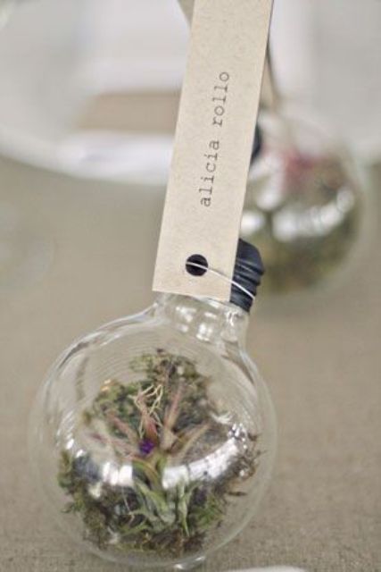 a light bult terrarium with air plants as a creative place card holder for a wedding tablescape