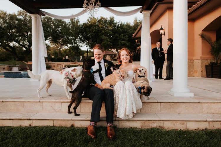 Dog-Loving Wedding With A Modern Twist