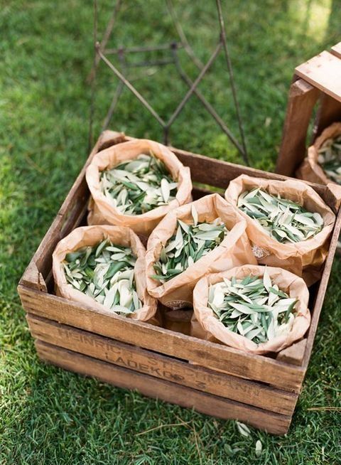 olive leaves are amazing for a wedding send off if it's a Tuscany or Italy-inspired wedding