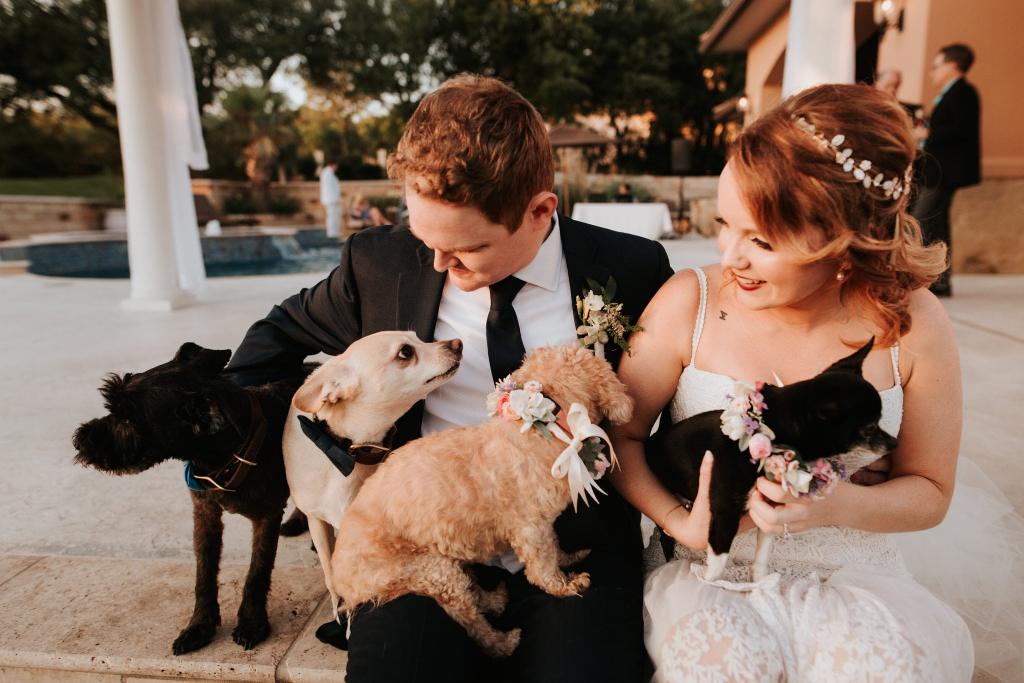 The couple has 6 rescue dogs and they were all present at the wedding running around