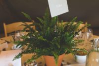 13 a potted fern with a name of the table is a cute and fresh wedding centerpiece