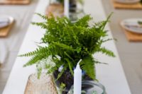 24 simple fern centerpieces, candles, colored glass and potted foliage for a woodland-inspired wedding tablescape