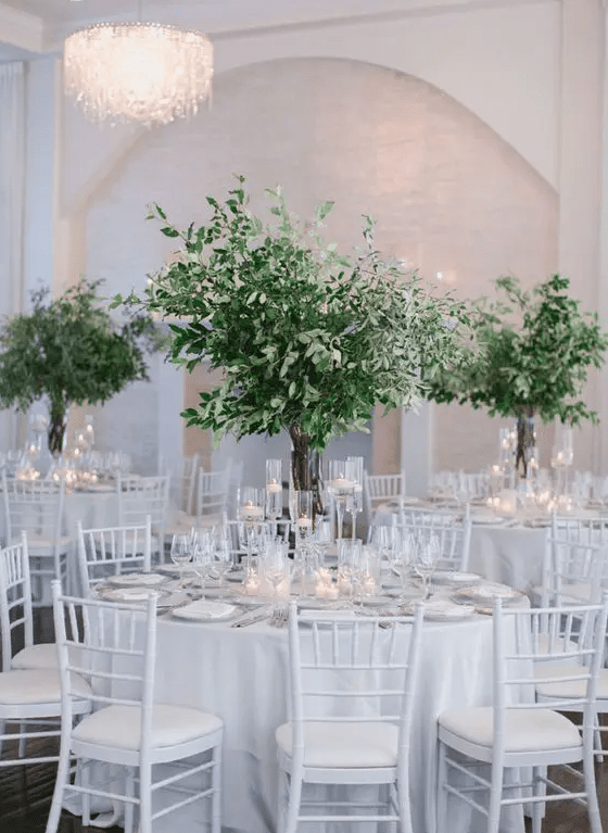 tall greenery centerpieces in clear glass vases, with olive branches and eucalyptus look very chic