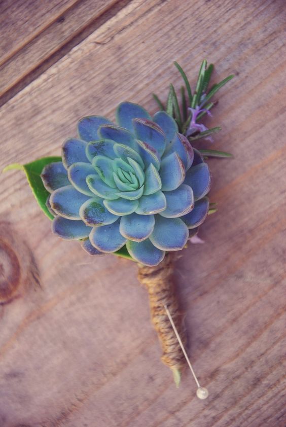 a single succulent boutonniere with rosemary and a leaf and twine wrap for a rustic feel