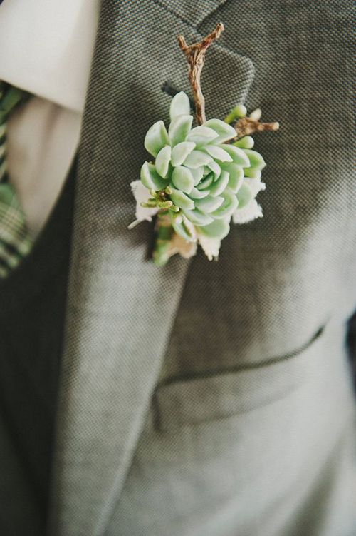 a single succulent boutonniere with a tiny branch for a woodland or garden feel