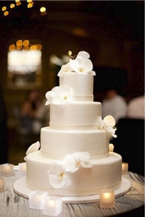 a plain white wedding cake with white orchids is pure and timeless elegance, which never goes out of style