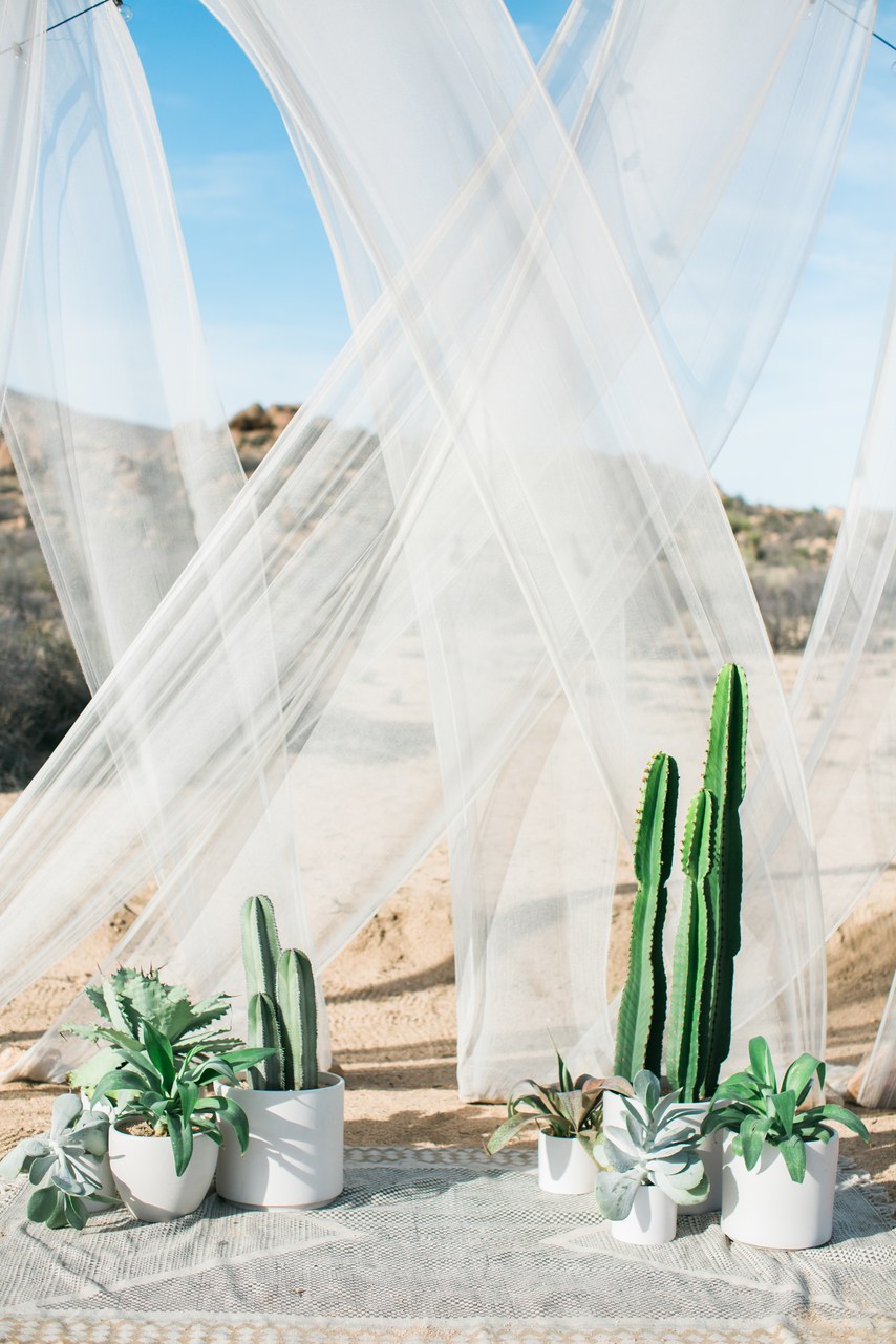 a desert ceremony space with potted cacti, sheer draping, and a bohemian accent rug make for one beautifully unexpected combo