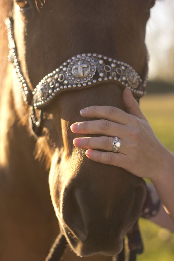 if you love riding horses or have them at your farm, why not go take a pic with them and your ring