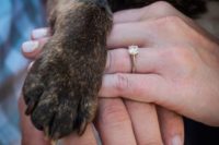 21 show off your ring with your dog’s paw to make the shoot really family-like and cute