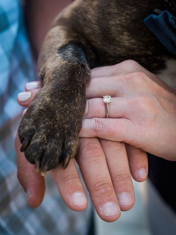 show off your ring with your dog's paw to make the shoot really family-like and cute