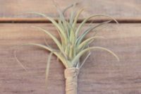23 such a simple air plant boutonniere with a ribbon wrap is ideal for a coastal or beach wedding