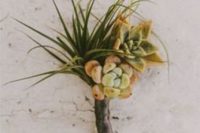 25 pair an air plant and succulents plus a ribbon wrap for a super trendy look