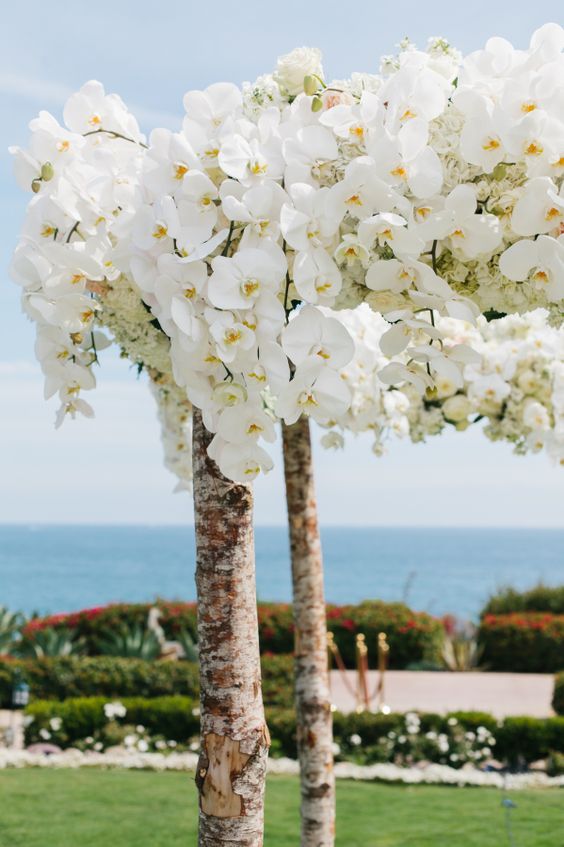 if you are having a tropical wedding, decorating your arch with lush white blooms may be a very cool idea